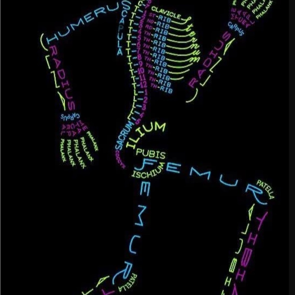 Meet your Posher, Adelina